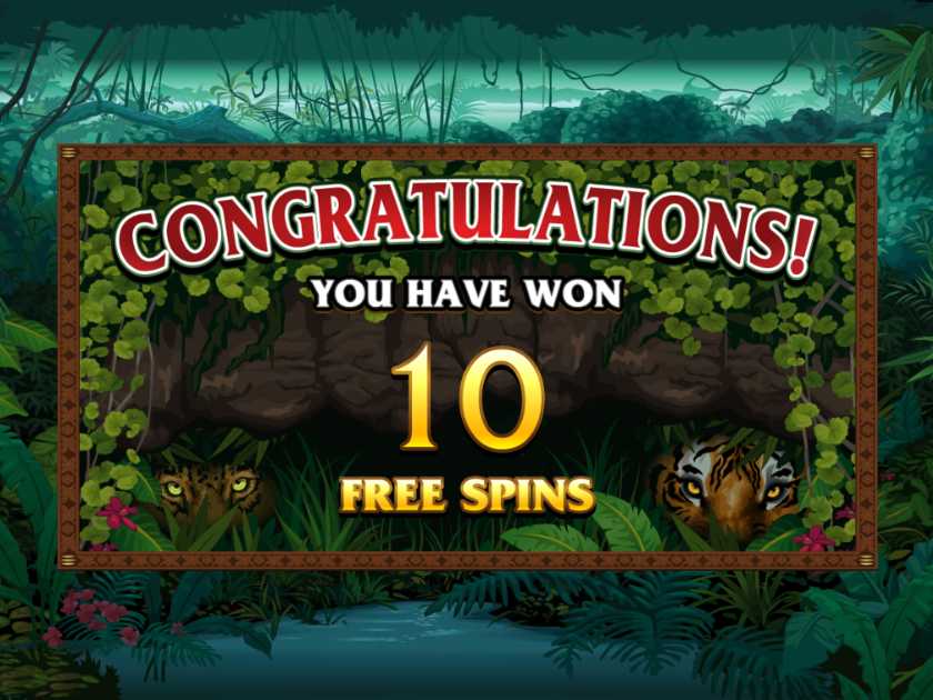 Фри-спины в слоте Экзотические Кошки