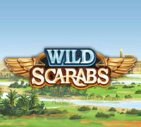 Wild Scarabs